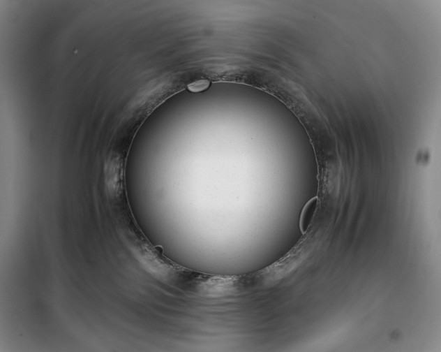 X0000100350138200806131001