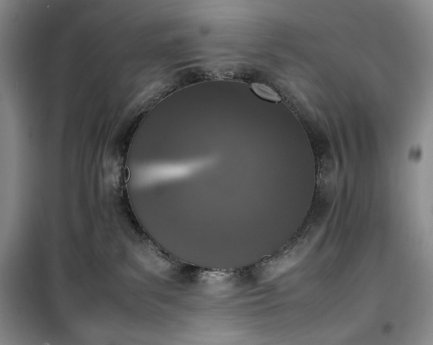 X0000100350139200806131001