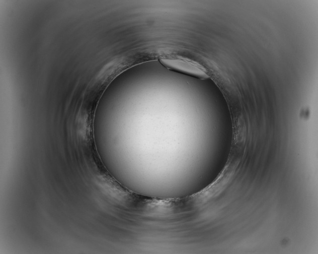 X0000100350140200806131001