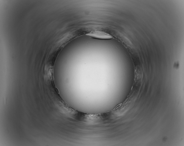 X0000100350141200806131001