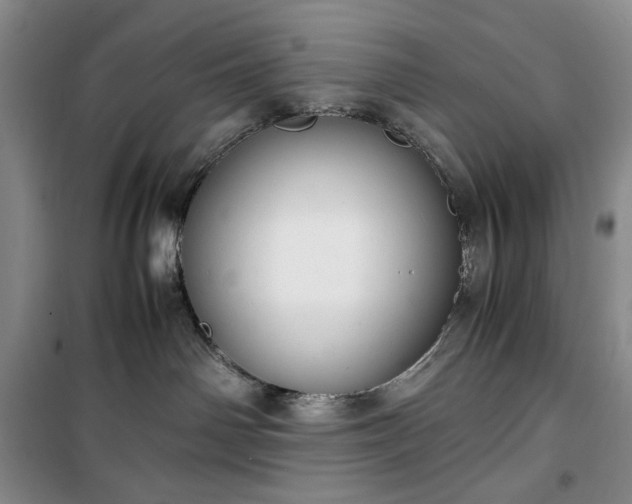 X0000100350142200806131001