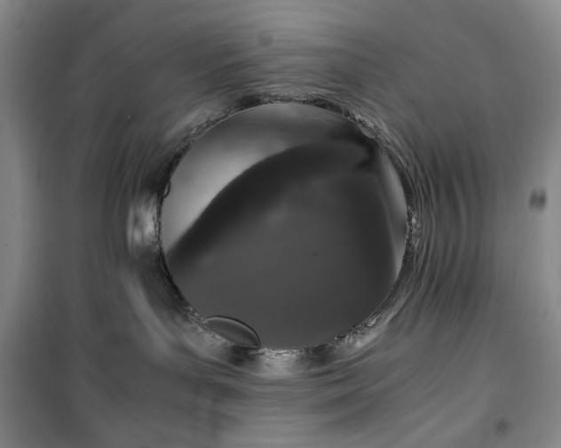 X0000100350143200806131001