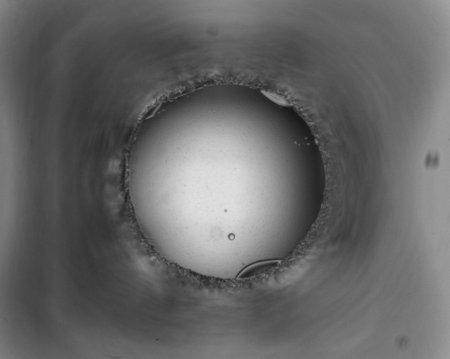 X0000100350144200806131001