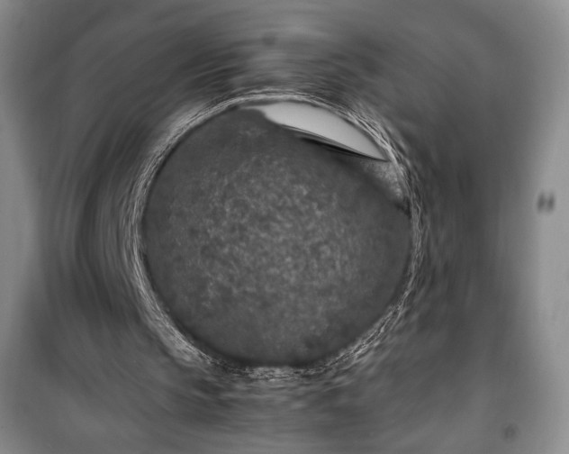 X0000100350145200806131000