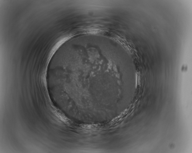 X0000100350147200806131000