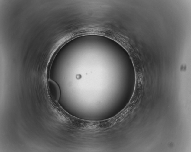 X0000100350148200806131000