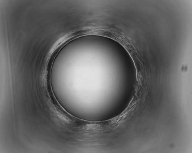 X0000100350150200806131000