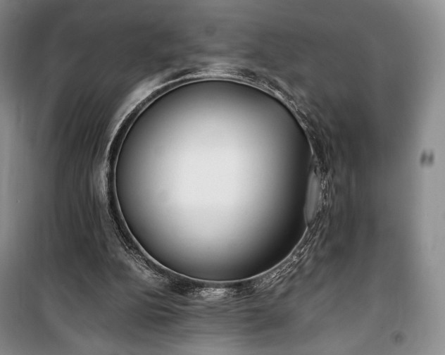 X0000100350152200806131000