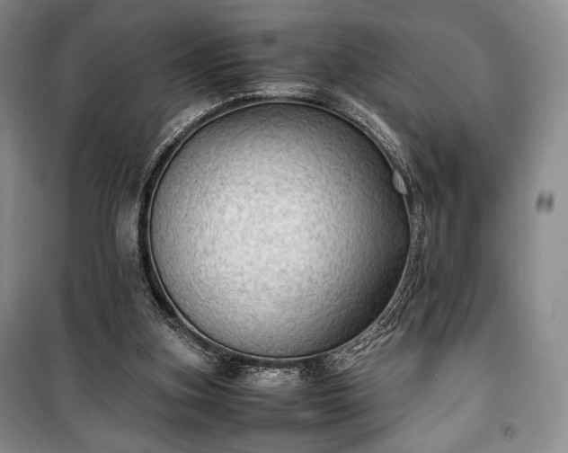 X0000100350155200806131000