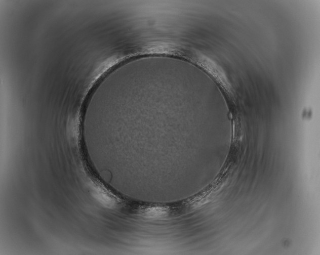X0000100350156200806131000
