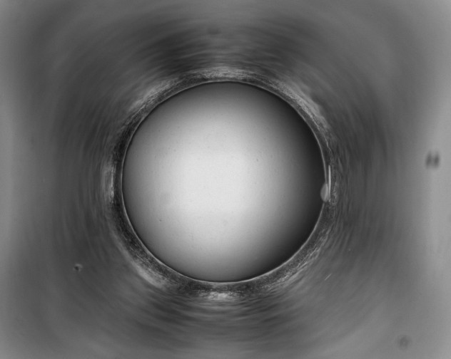 X0000100350157200806131000