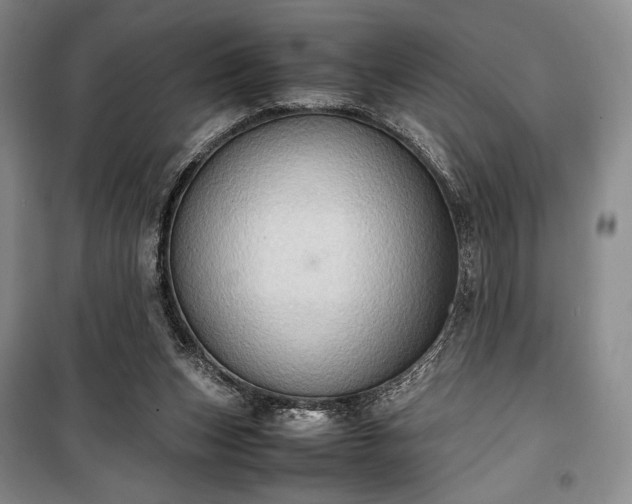 X0000100350159200806131000