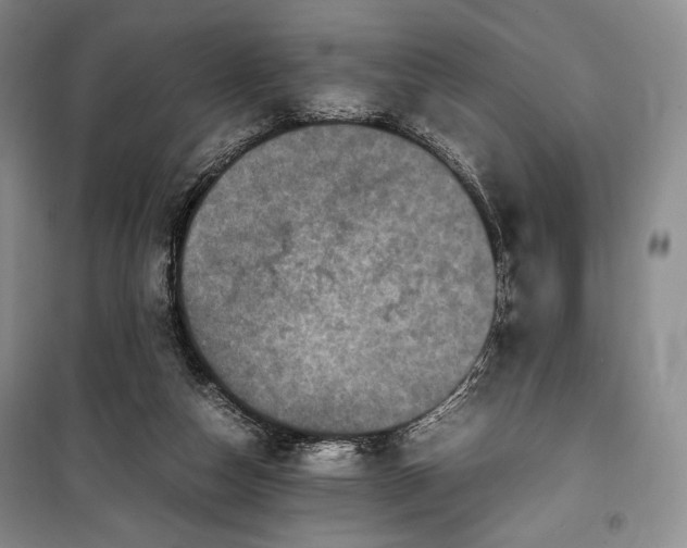 X0000100350162200806131000