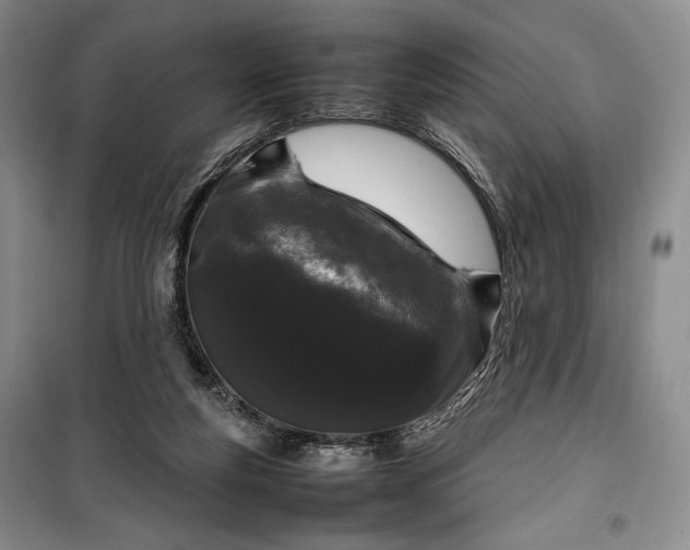 X0000100350163200806131000
