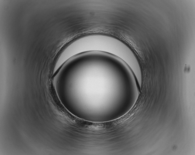 X0000100350164200806131000