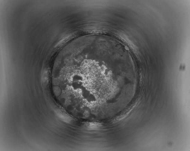 X0000100350165200806131000