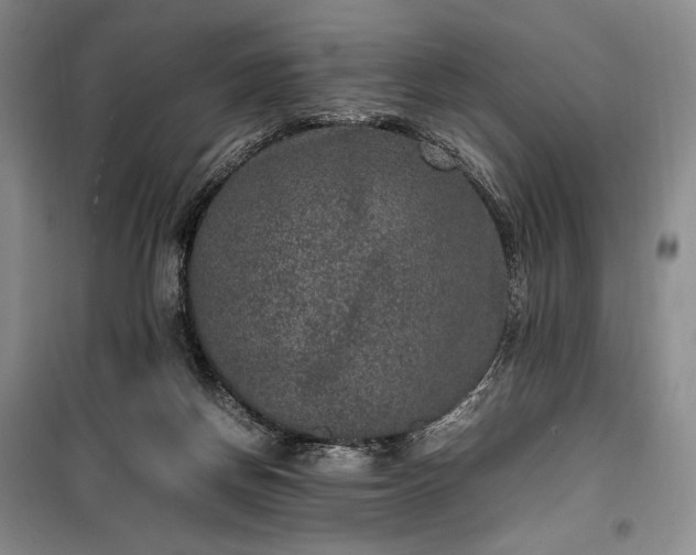 X0000100350166200806131000