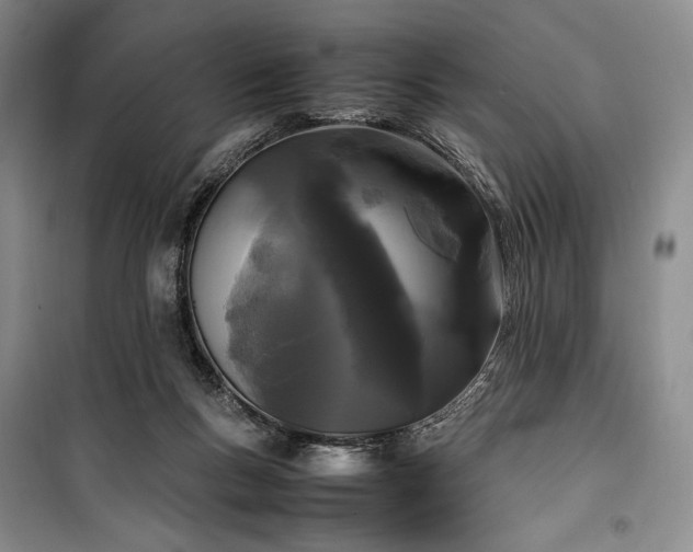 X0000100350167200806131000
