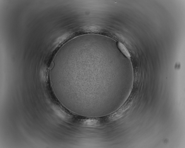 X0000100350168200806131000
