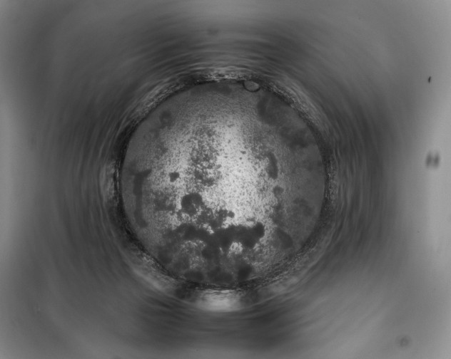 X0000100350169200806131000