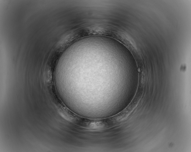 X0000100350173200806131000