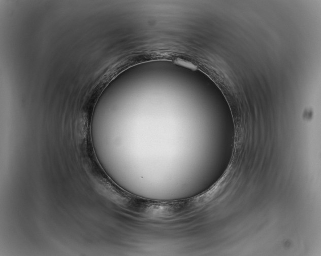 X0000100350174200806131000