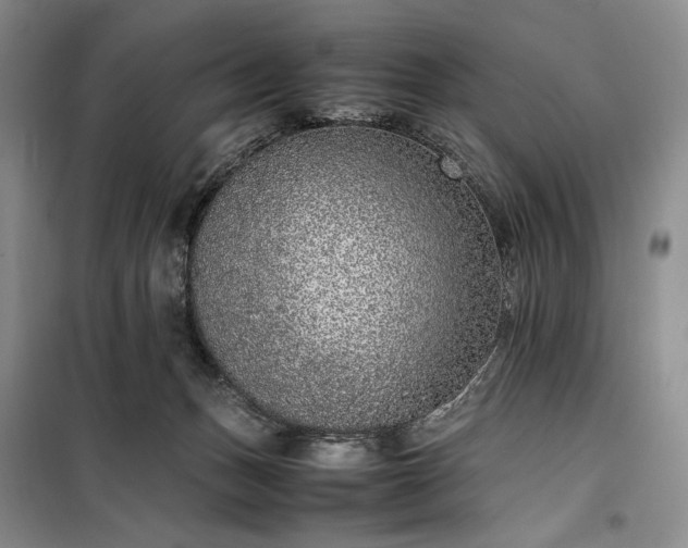 X0000100350175200806131000