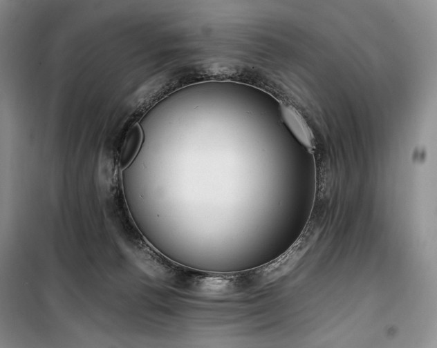 X0000100350176200806131000