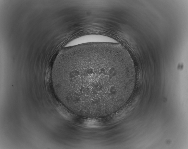 X0000100350177200806131000