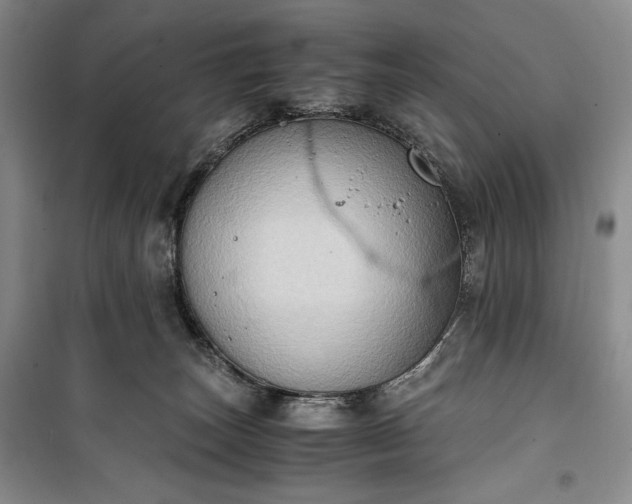 X0000100350179200806131000