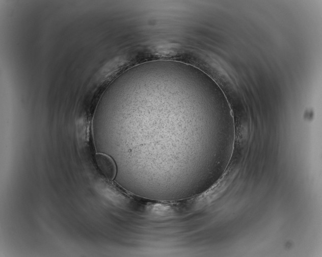 X0000100350180200806131000