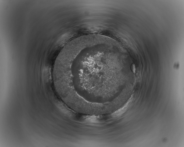 X0000100350182200806131000