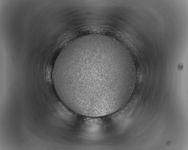 X0000100350185200806131000
