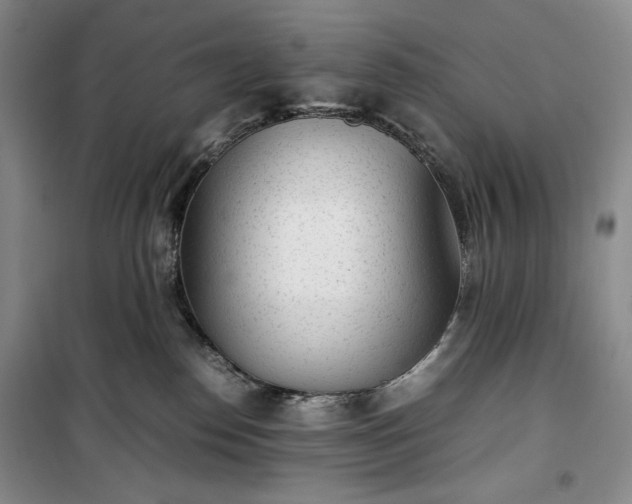 X0000100350186200806131000