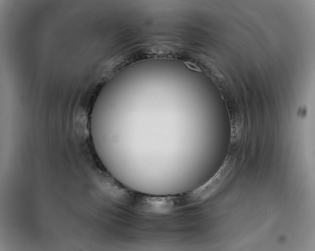 X0000100350187200806131000