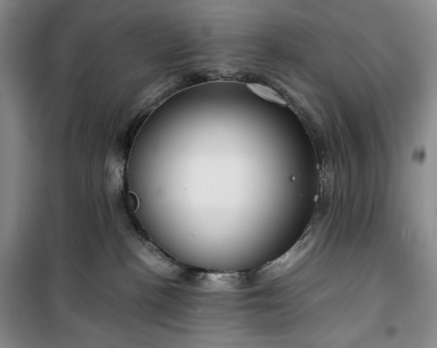 X0000100350188200806131000