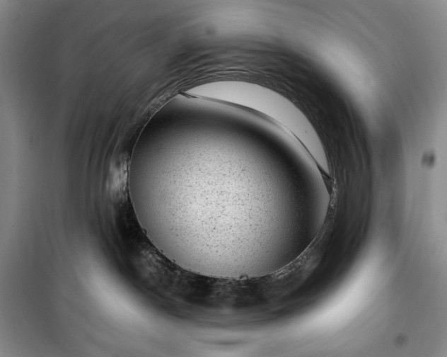 X0000100350190200806131000