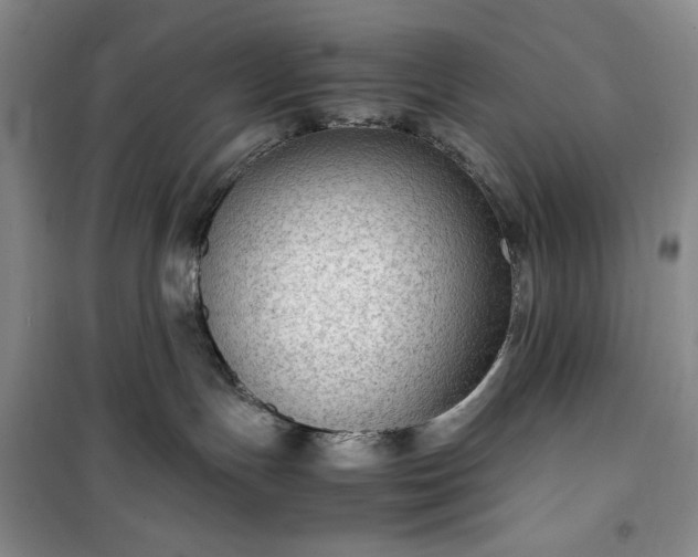 X0000100350191200806131000