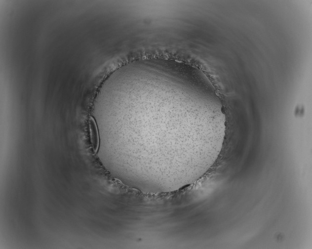 X0000100350192200806131000