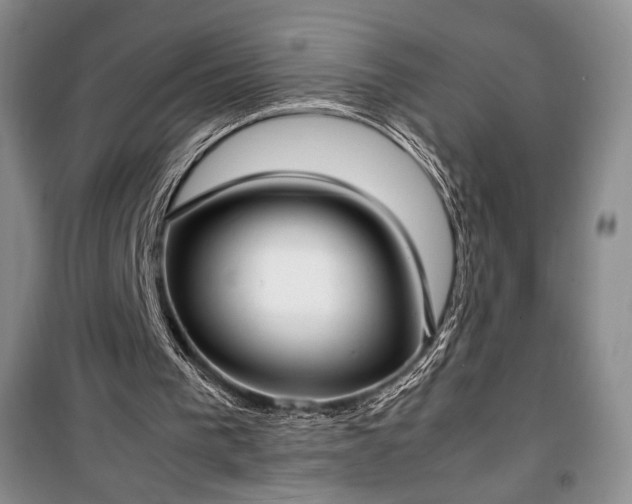 X0000100350193200806131000