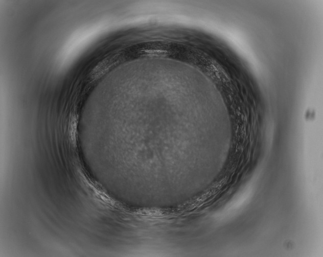 X0000100350194200806131000