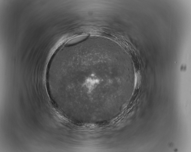 X0000100350195200806131000