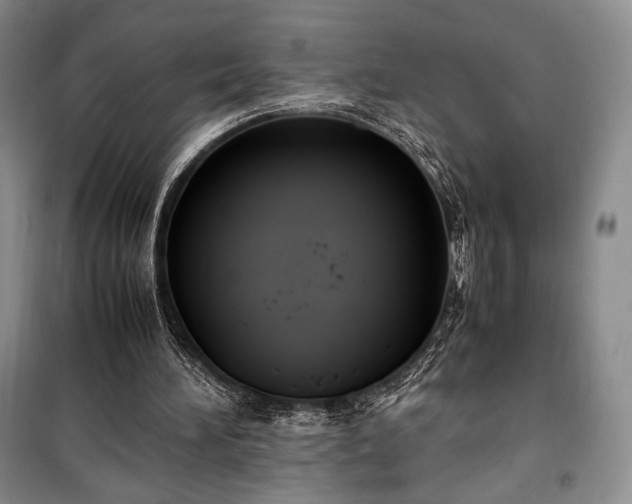 X0000100350196200806131000