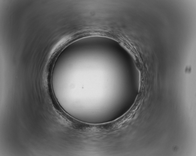 X0000100350197200806131000