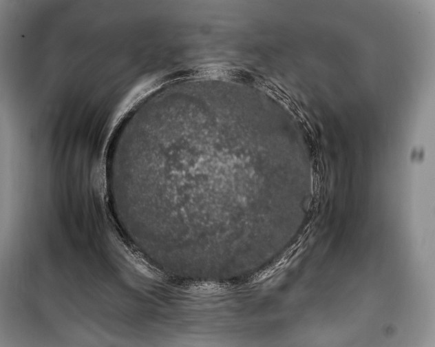 X0000100350198200806131000