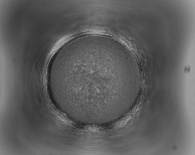 X0000100350199200806131000