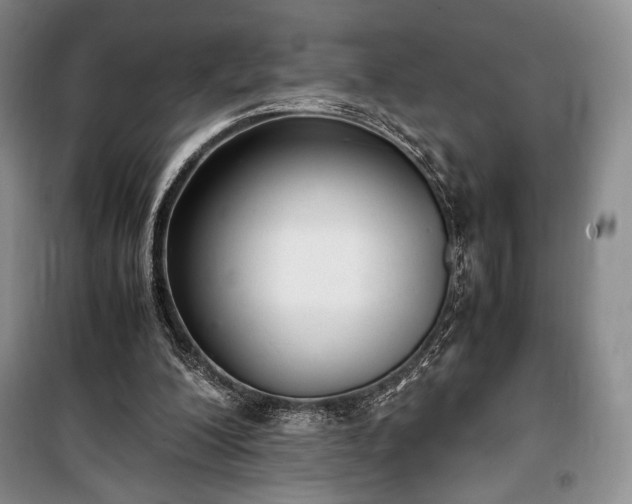 X0000100350200200806131000
