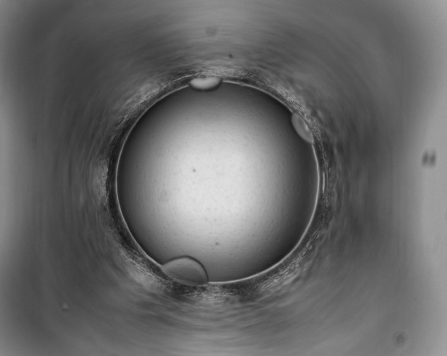 X0000100350201200806131000