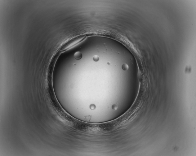 X0000100350203200806131000