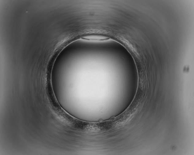 X0000100350207200806131000